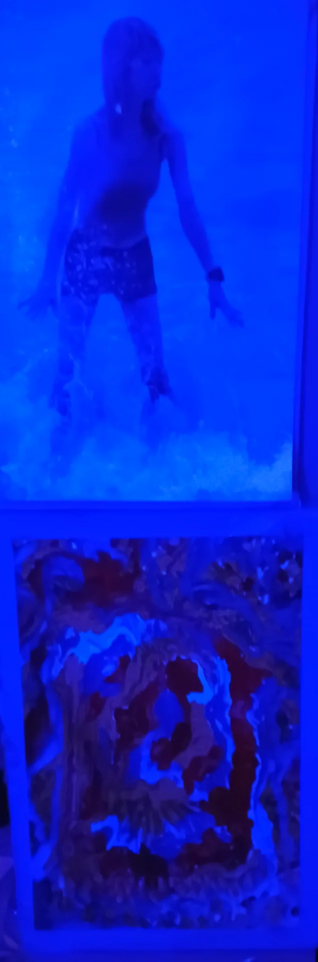 IMG_20261009_181544.webp