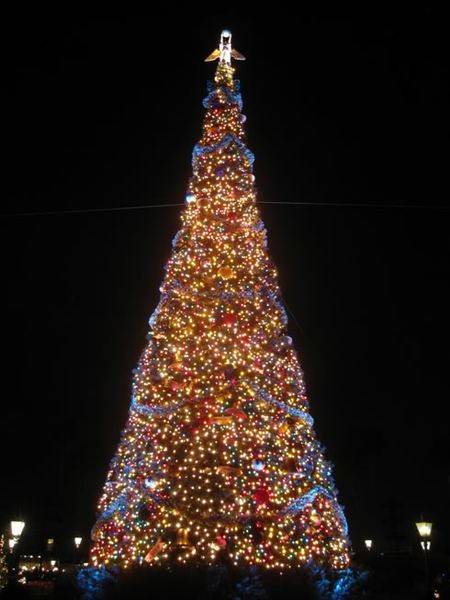 IMG_3002.jpg