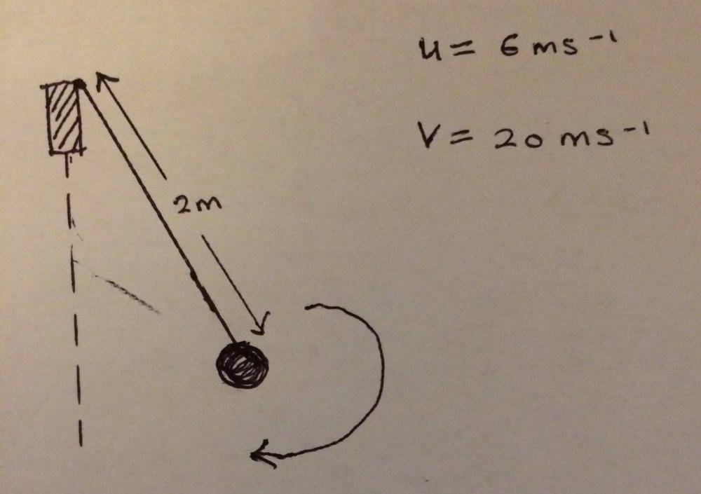 IMG_3551.JPG IMG_3551.JPG