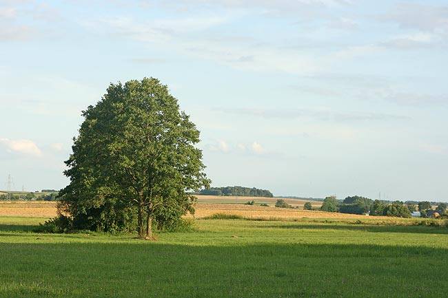 IMG_6076.JPG