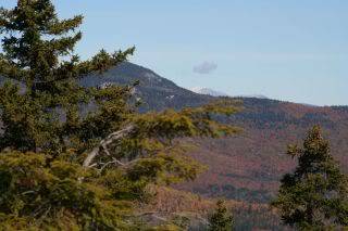 IMG_7032.jpg