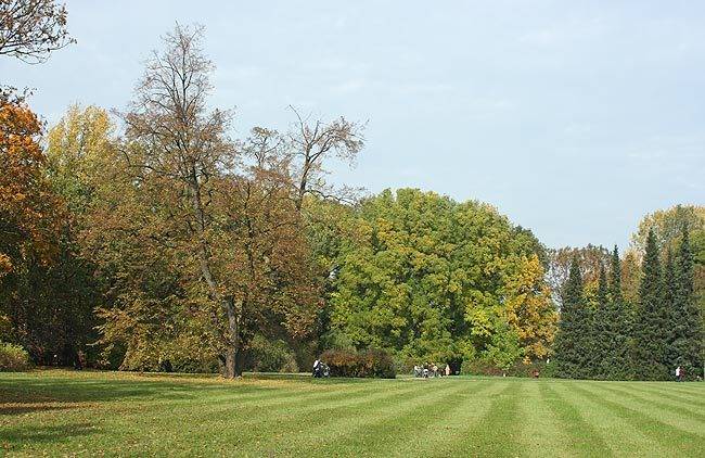 IMG_7747.jpg