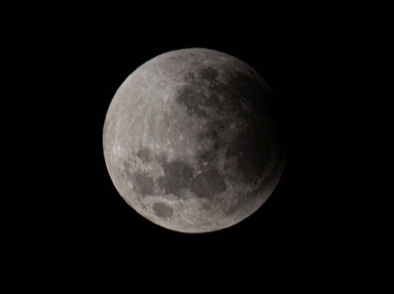 IMG_9942sm.jpg