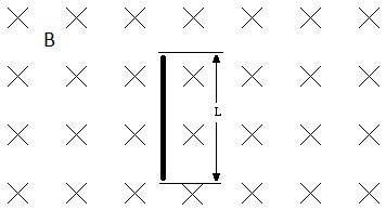 Img_zps0twbecya.jpg