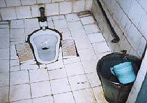in-dlh5.jpg