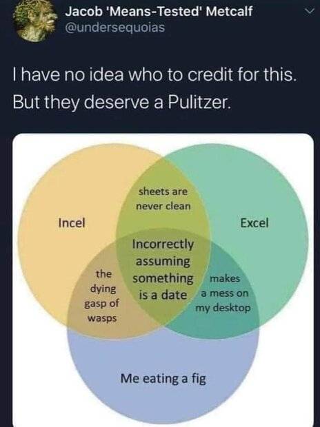 incel-excel-fig.jpg