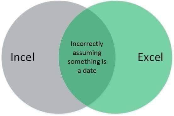 incel-excel.jpg