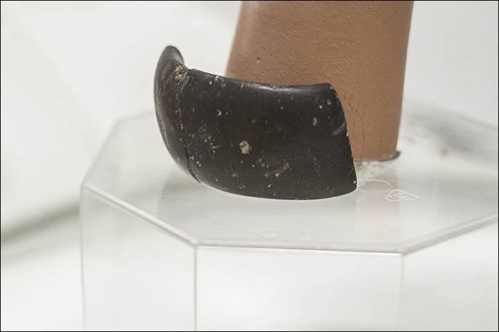 inside_bracelet_on_hand_close.jpg