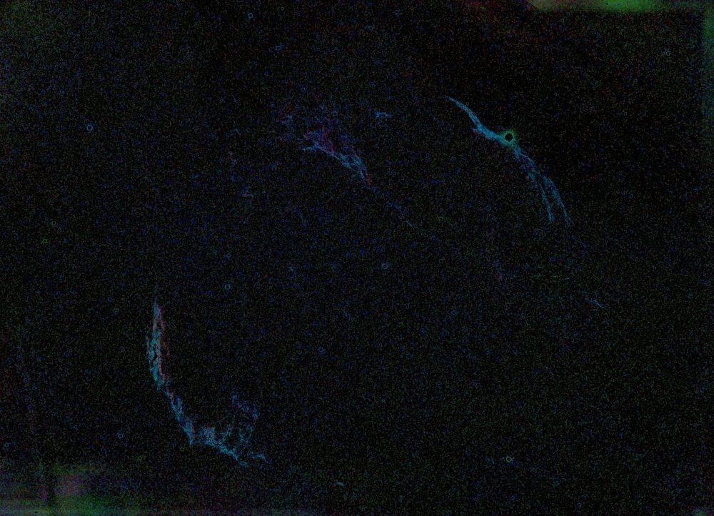 Invert of Veil-14532s copy.jpg