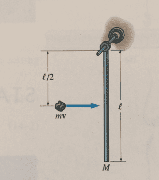 iympw4.png