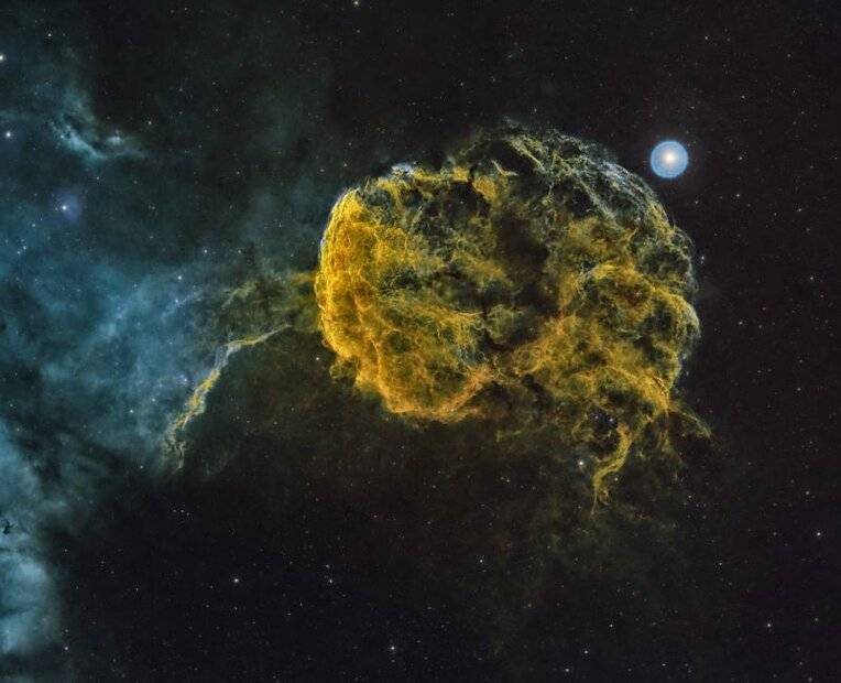 Jellyfish2023_Final_CropForPF.jpg