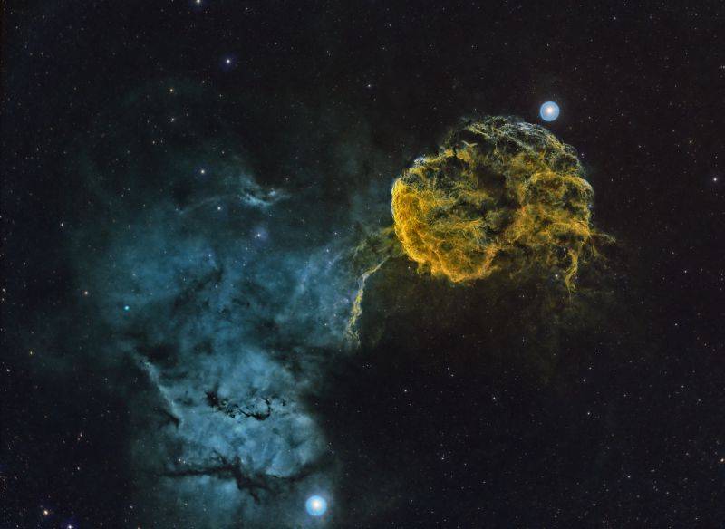 Jellyfish2023_Final_SmallForPF.jpg