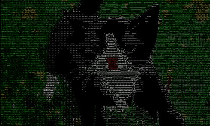 jp2a_image_to_ascii_kitten_screenshot.png