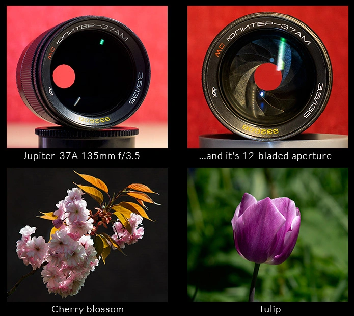Jupiter-37AM 135mm MC f3.5.webp
