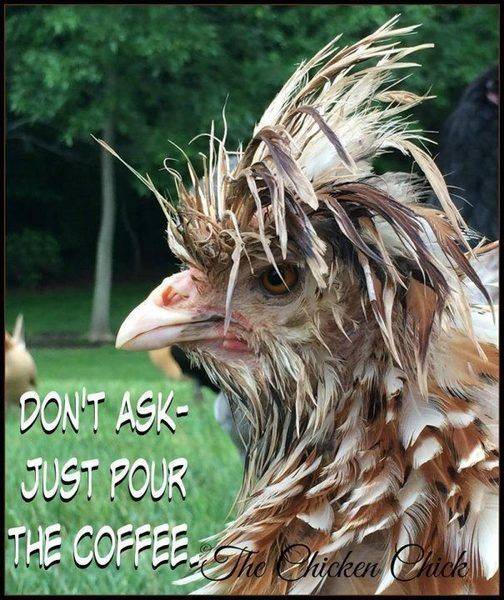 just pour the coffee.jpg