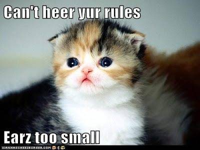 katz+small+ears.jpg
