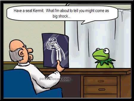 kermit_6-22-06.jpg