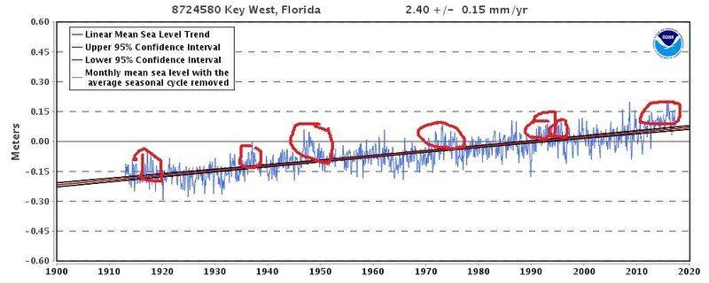 KeyWestSealvel_8724580.jpg