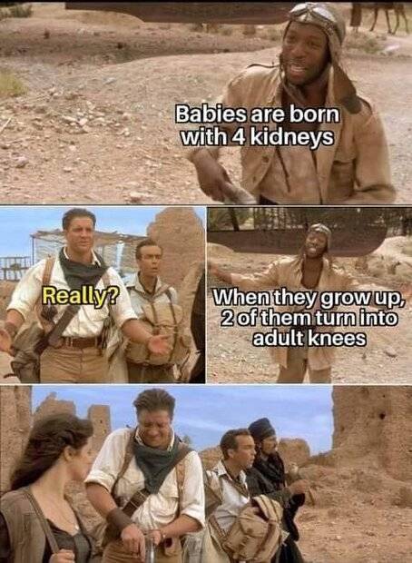 kidneys.jpg