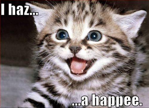 kitten-has-a-happy.jpg
