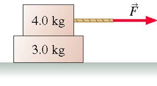 knight_Figure_08_32.jpg