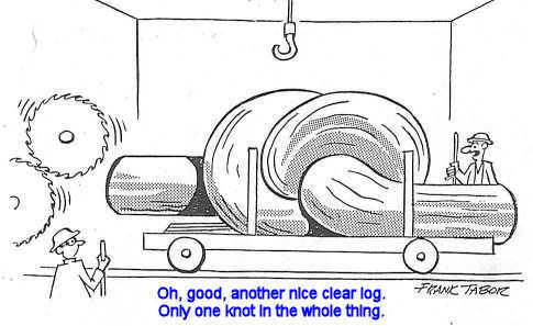 knotted log 2.jpg