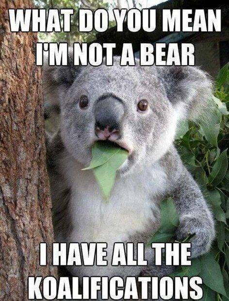 Arm bears.jpg