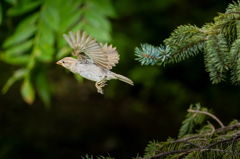 L1000401-2.webp