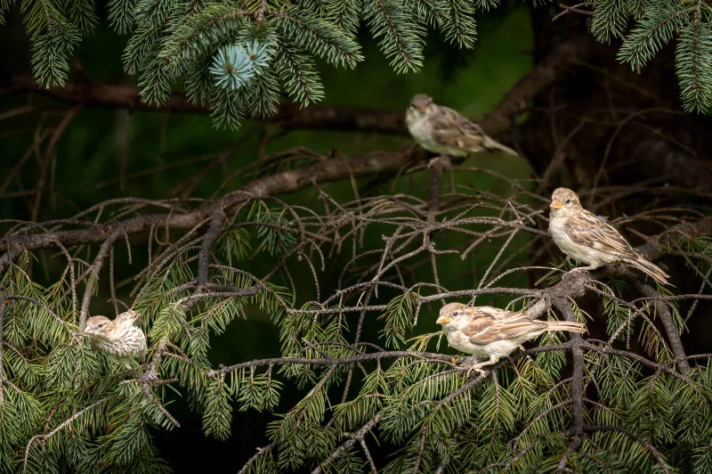 L1000958.webp