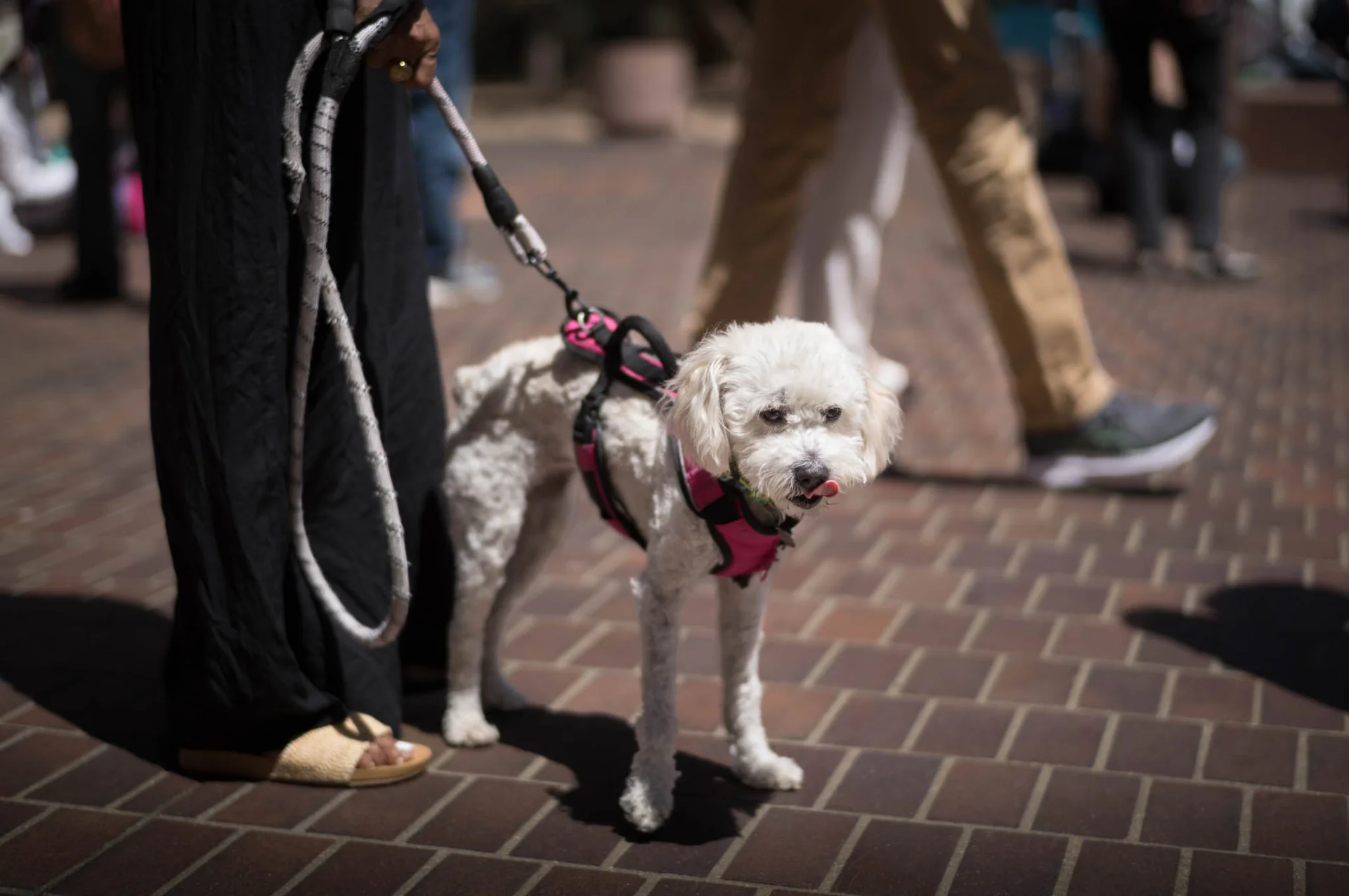 L1001024.webp