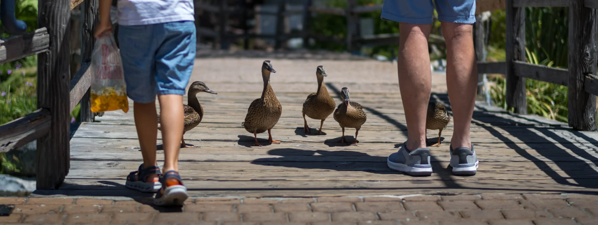 L1001933.webp