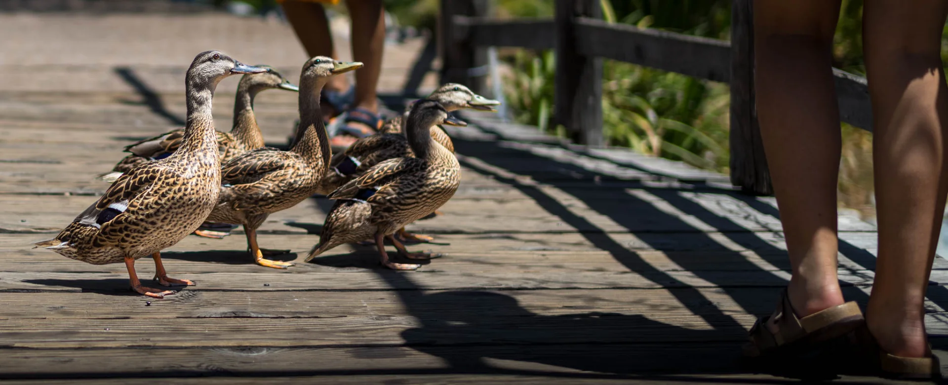 L1001942.webp