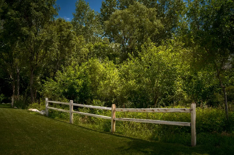 L1002129.webp