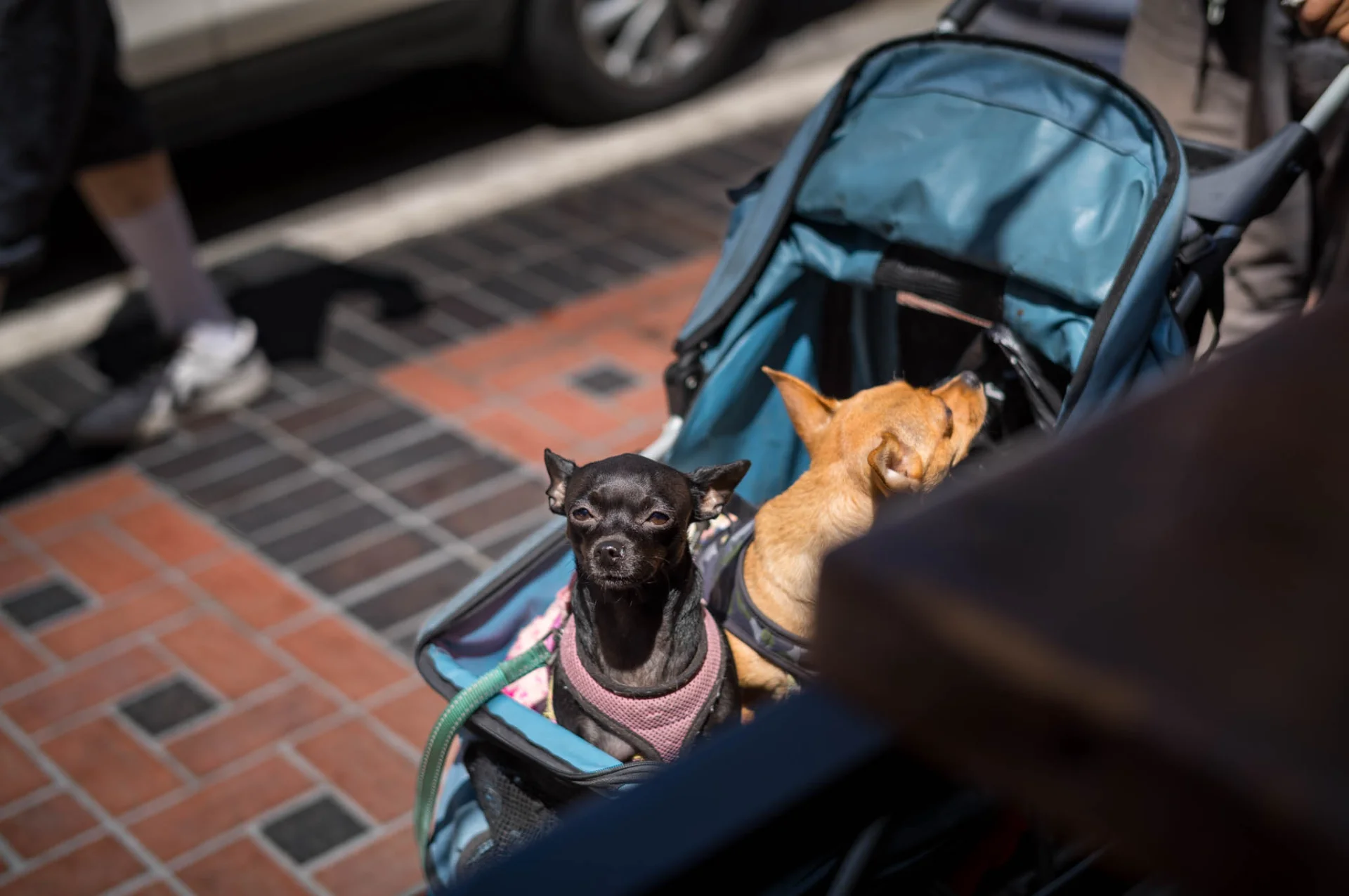 L1002198.webp