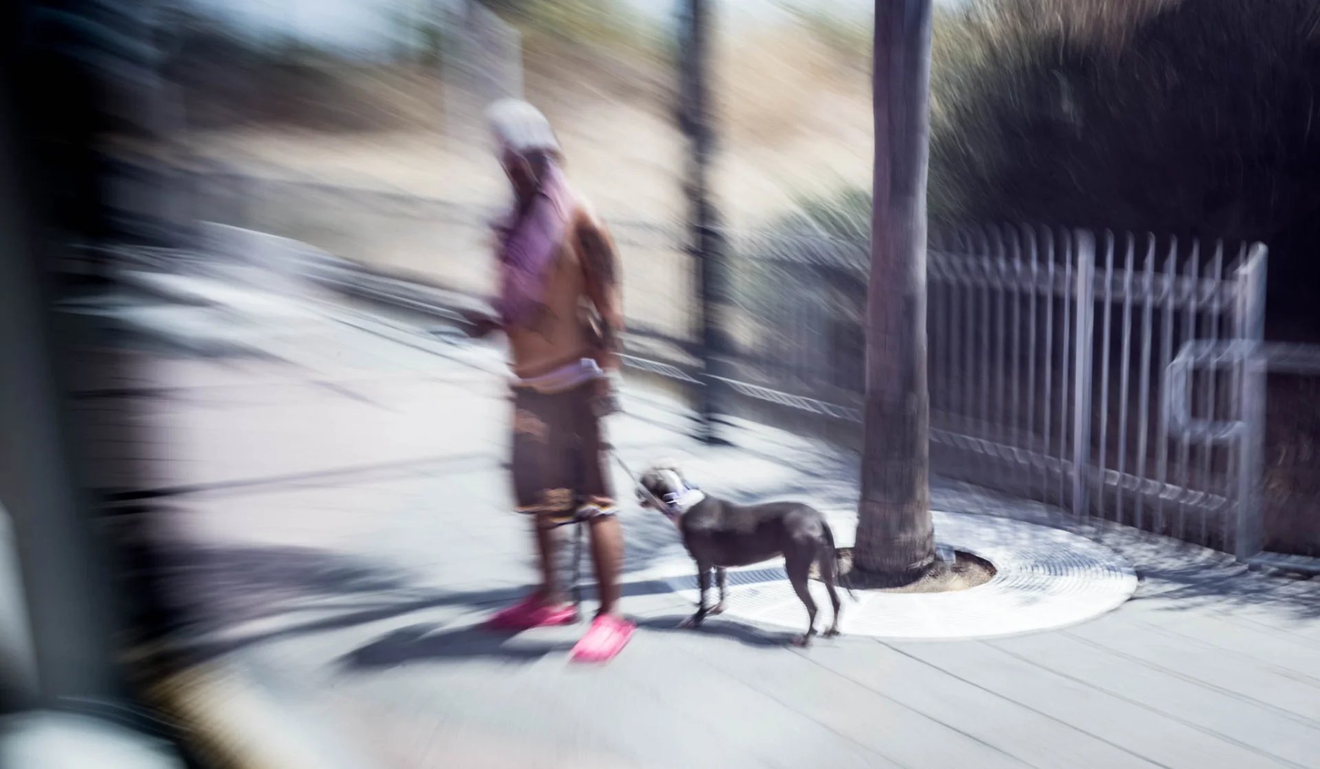 L1002255.webp