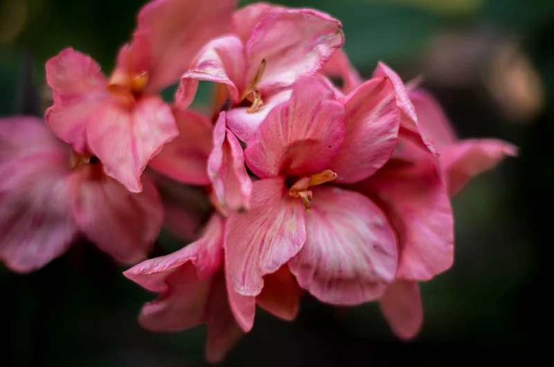 L1002383.webp