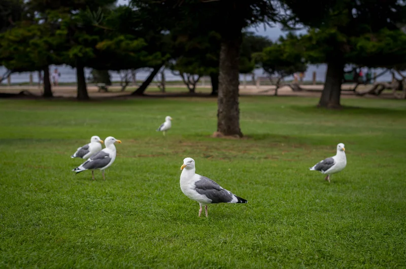 L1003079.webp