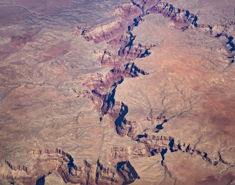 L1003290.webp