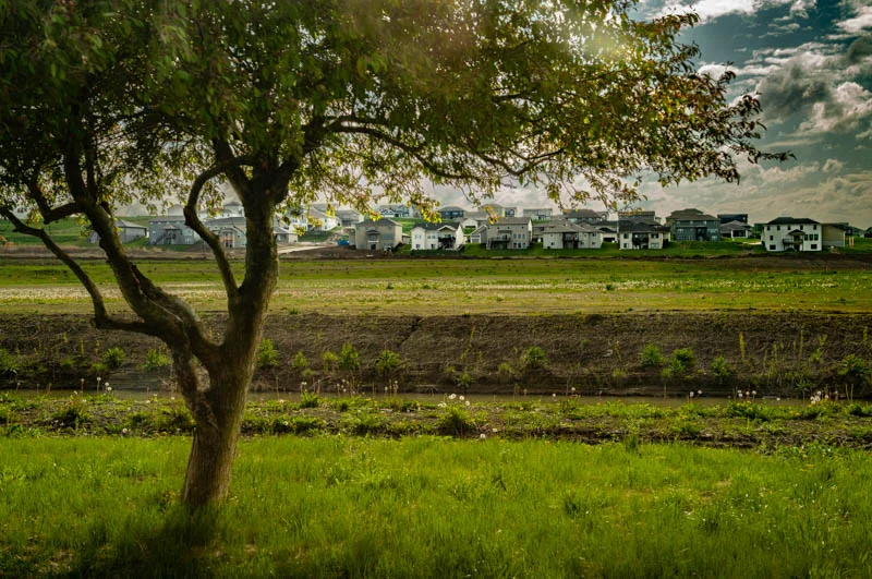 L1003846.webp