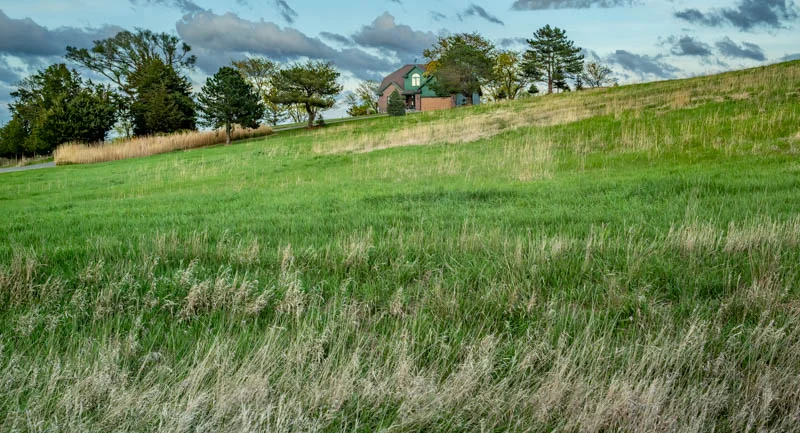 L1003915.webp