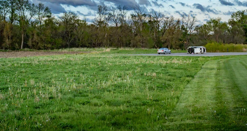L1003931.webp