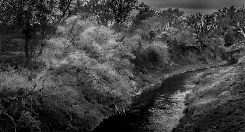 L1004038.webp