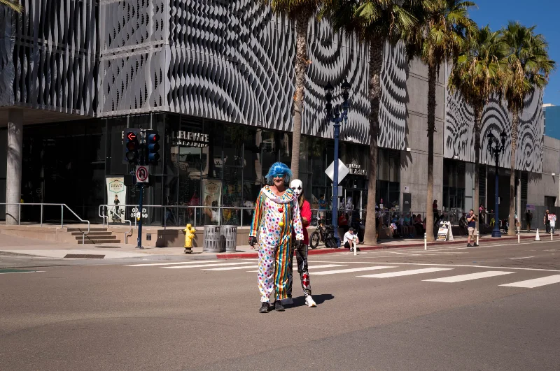 L1004096.webp