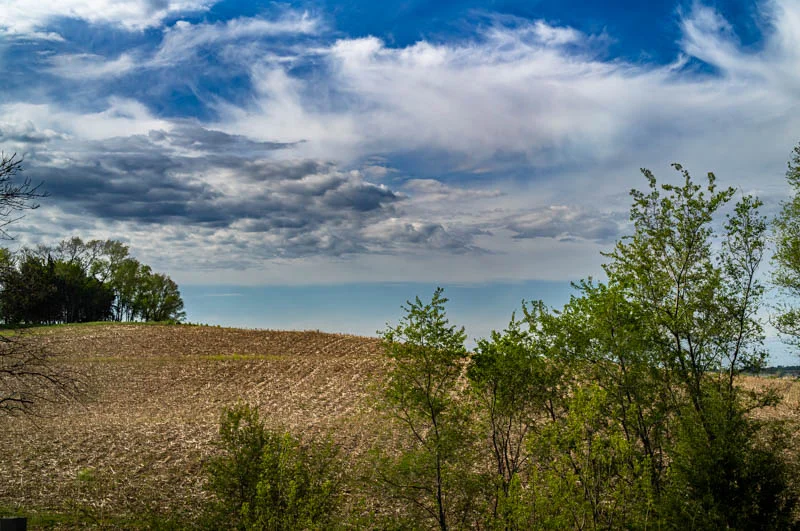 L1004294.webp