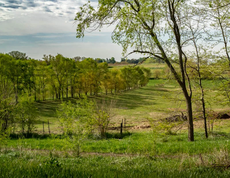 L1004312.webp