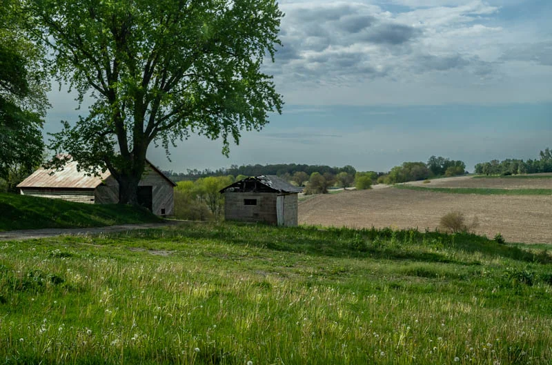 L1004361.webp