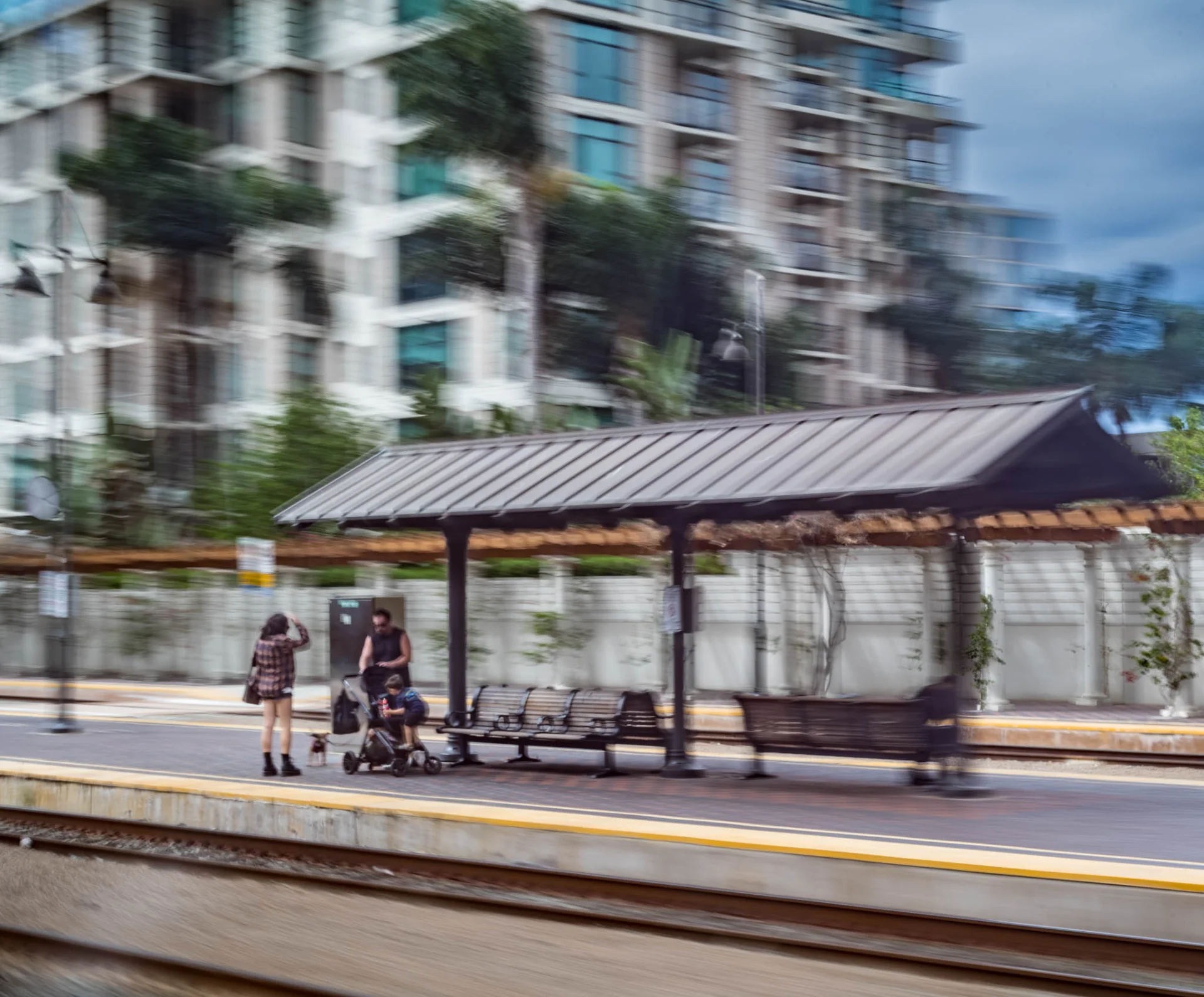 L1004594.webp