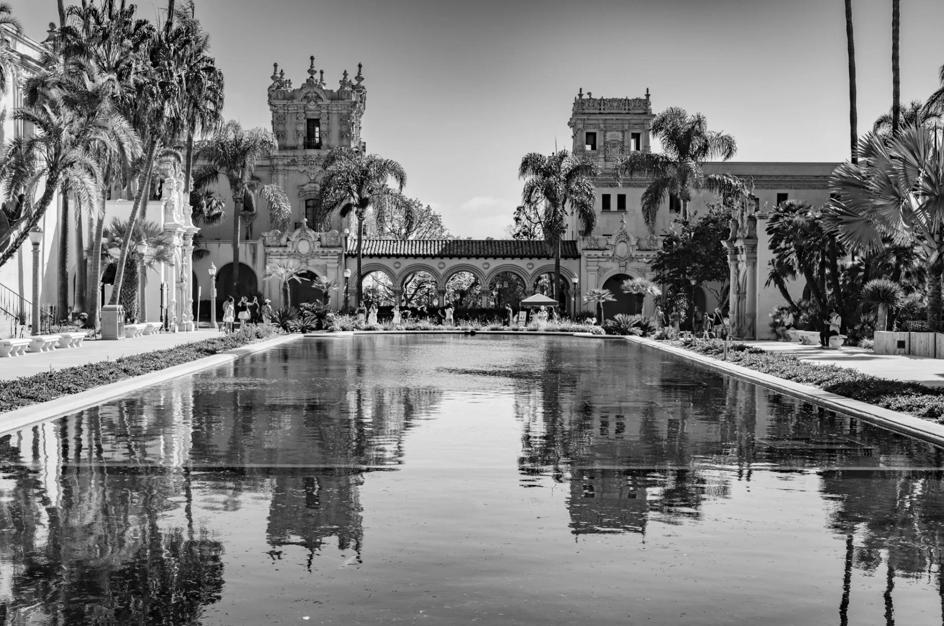 L1005273-2.webp