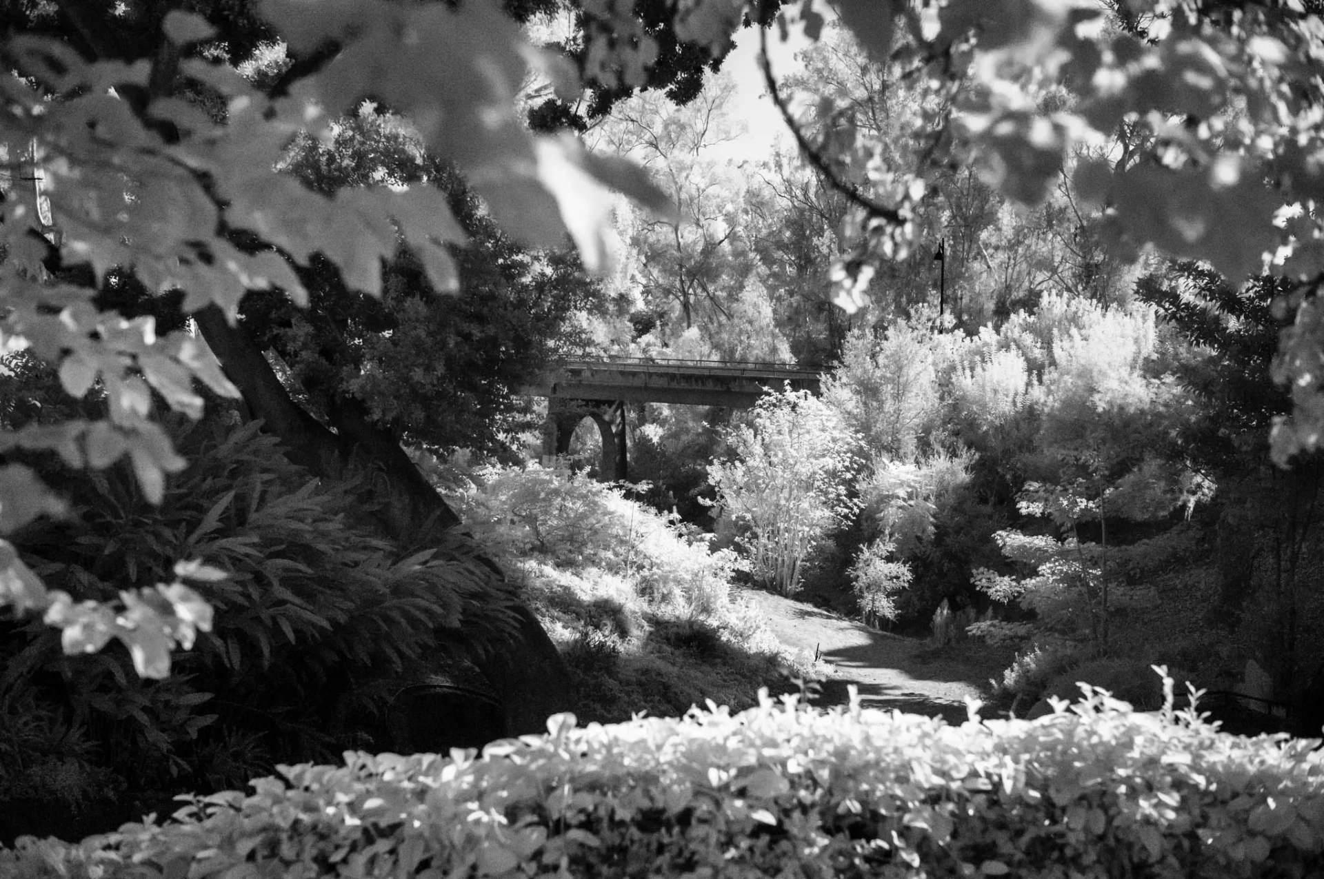 L1005301.webp