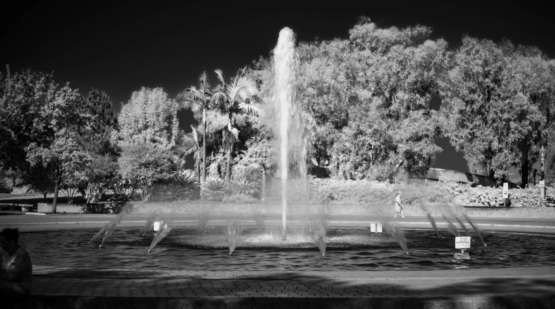 L1005305.webp